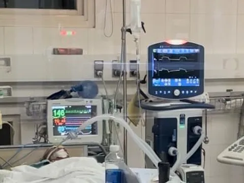 Em gái hiến tạng anh trai cứu 5 người xa lạ