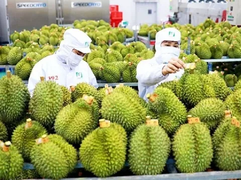 Xuất khẩu sang Trung Quốc tăng ấn tượng: Kỳ vọng "bùng nổ"
