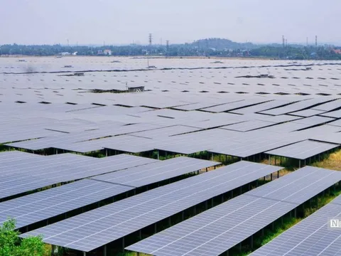 Sao Mai muốn thoái sạch vốn tại công ty con chuyên mảng kiến trúc