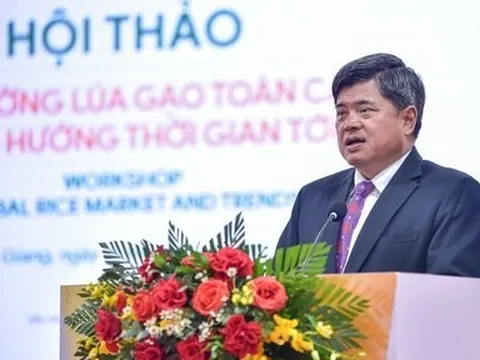 Thay vì sản lượng, doanh nghiệp lúa gạo cần đầu tư mạnh vào chất lượng