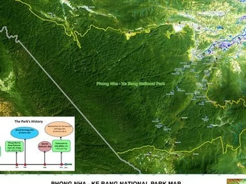 Giữ rừng hiệu quả, Quảng Bình bán tín chỉ carbon được 82 tỷ đồng