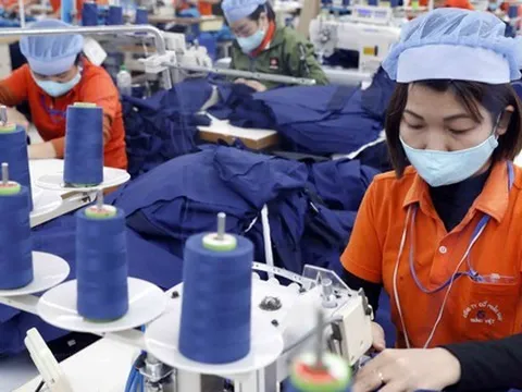 Nhật Bản có nhu cầu nhập khẩu nhiều mặt hàng thế mạnh của Việt Nam