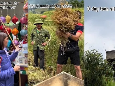 Đến Việt Nam du lịch, du khách quốc tế cực kỳ yêu thích với những phong tục bản địa khác lạ