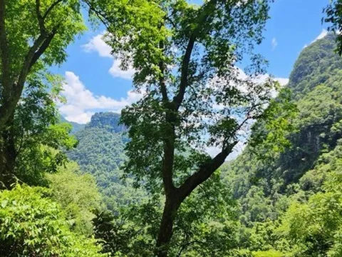 Quảng Bình: Lần đầu tiên bán 'không khí' thu về hơn 80 tỷ đồng