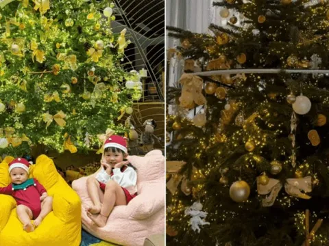 Cây thông Noel nhà Cường Đô La: Cao hơn 2m, có một chi tiết đặc biệt cho thấy sự đầu tư của gia chủ