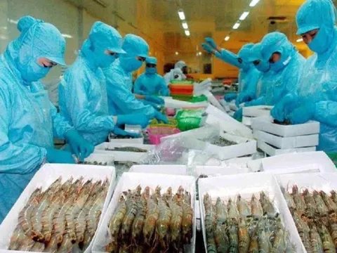 Kỳ vọng xuất khẩu tôm sang Mỹ sẽ hồi phục trong năm 2024