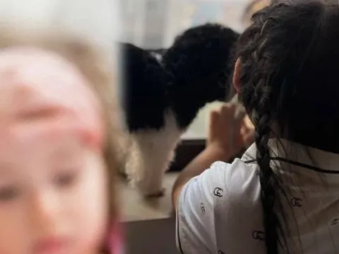 Đau lòng bé gái qua đời do mắc sốt xuất huyết, nghe diễn biến được người mẹ chia sẻ lại càng thêm xót xa