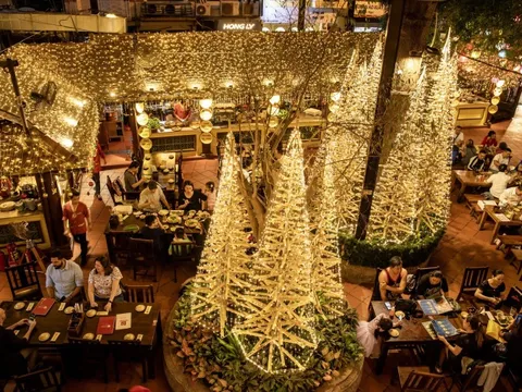 Rừng thông Noel bằng tre "đậm màu đất Việt" giữa lòng Hà Nội trở thành điểm check-in mới cho giới trẻ thủ đô