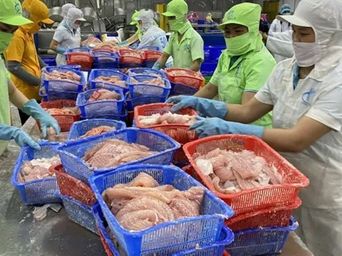 Doanh nghiệp khổ vì bị thanh tra, kiểm tra nhiều