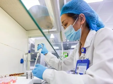 Dịch cúm A hoành hành miền Bắc