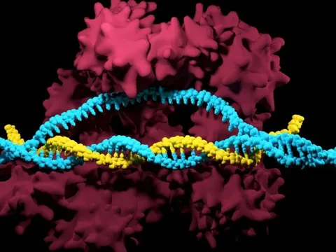 Những đột phá Y học trong năm 2023