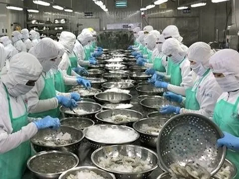 Kiên Giang: Kim ngạch xuất khẩu đạt 860 triệu USD