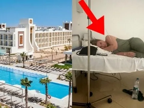 Vào khách sạn 5 sao ở mà gặp toàn mèo hoang và ruồi nhặng bay tứ tung, du khách bị tiêu chảy đến mức nhập viện, quyết kiện ra trò!