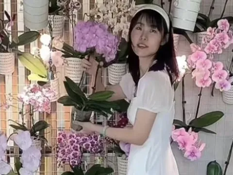 Cận cảnh phòng khách với 1000 chậu lan hồ điệp của cô gái trẻ, đẹp đến "nghẹt thở"