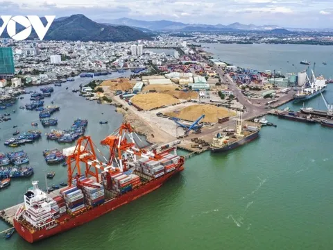 Bình Định vượt khó đưa hàng xuất khẩu ra thị trường mới