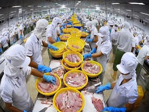 "Vượt khó", xuất khẩu thủy sản đặt mục tiêu 9,5 tỷ USD năm 2024