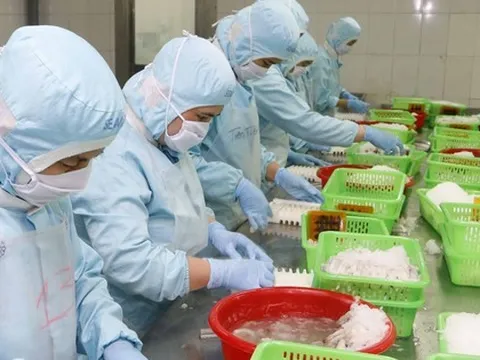 Thưởng Tết ở Cần Thơ: Cao nhất chỉ bằng một nửa năm ngoái