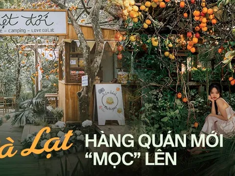 Giữa cảnh hàng quán Đà Lạt phải sang nhượng, vẫn có quán mới "mọc" lên: Làm sao để có thể "sinh tồn"?