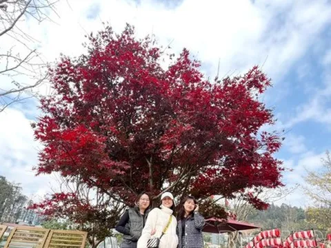 Sa Pa đặt mục tiêu đón 4,5 triệu khách, thu 15.500 tỷ đồng