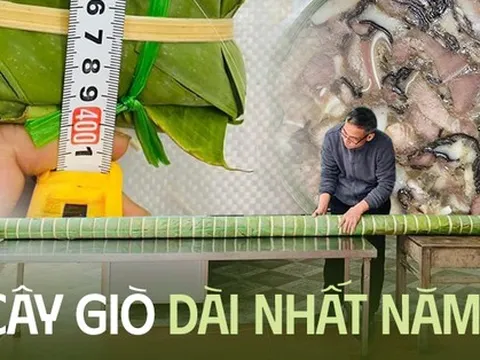 Xuất hiện cây giò xào dài 4m khiến nhiều người lầm tưởng là mẫu hàng trưng bày không bán