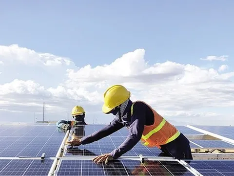 Phó Thủ tướng yêu cầu xử nghiêm sai phạm trong phát triển điện mặt trời, điện gió