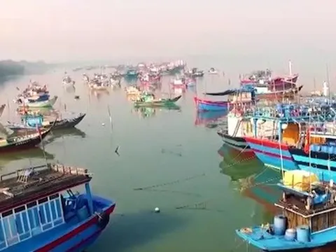 Chuyển đổi xanh và phát triển thuỷ sản xanh trở thành xu thế tất yếu