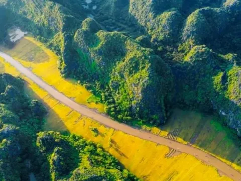 Khai thác ‘mỏ vàng’ tín chỉ car-bon