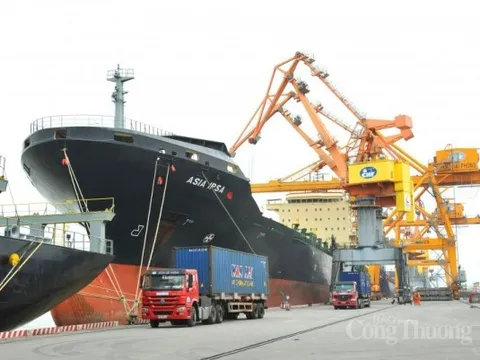 Chuyên gia nói gì về mức xuất siêu kỷ lục của năm 2023?