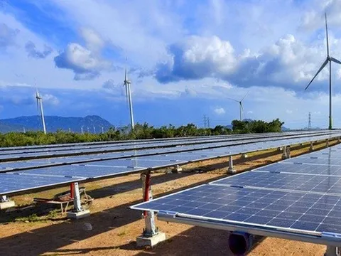 Bộ Công Thương bổ sung 168 dự án điện mặt trời sai quy định, cao gấp 17,3 lần quy hoạch