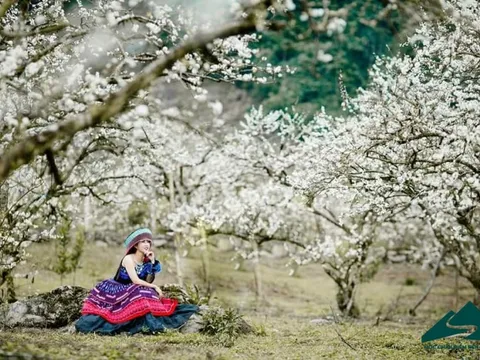 Đến năm 2030: Phát triển Sơn La trở thành tỉnh phát triển đa ngành, đa lĩnh vực