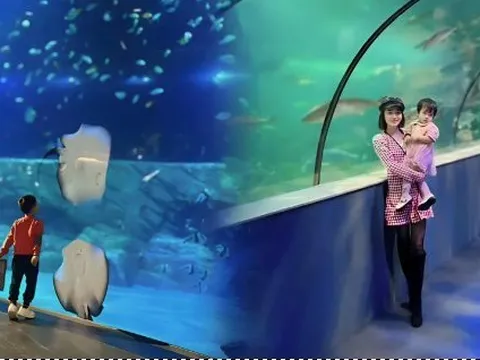 Thủy cung Lotte Hà Nội bị hội mẹ bỉm chê sơ sài và hụt hẫng vì giá đắt mà trải nghiệm chưa thỏa đáng