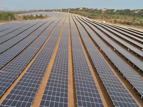 Thanh tra Chính phủ kết luận sai phạm dự án điện mặt trời ở Bình Thuận