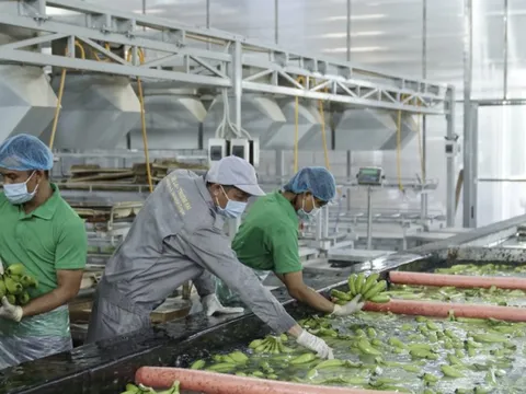 Tân binh "nhà" HAGL Agrico có vốn điều lệ lên tới 9.800 tỷ đồng