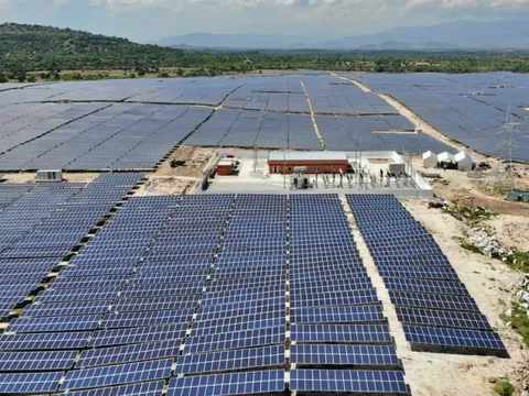 Loạt vi phạm trong phát triển điện mặt trời ở Long An