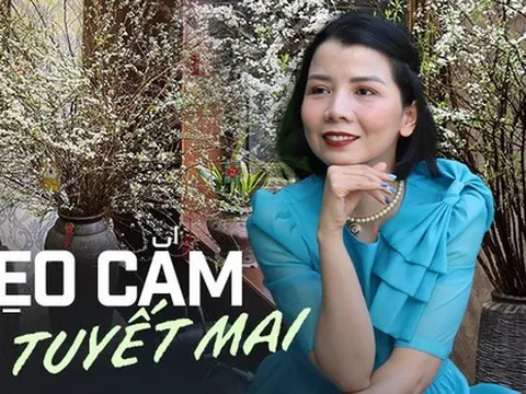 "Học lỏm" mẹ đảm Quảng Ninh cách cắm tuyết mai đơn giản nhưng thu về thành quả mĩ mãn, đảm bảo nở bung, trắng bừng ngày Tết