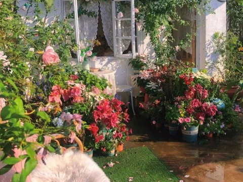 Đam mê với việc trồng hoa, cô gái 27 tuổi thuê nhà trên sân thượng để tạo ra khu vườn đẹp như tranh vẽ