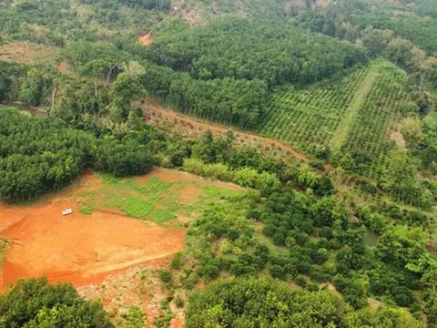 Hai dự án thủy điện 'treo' 16 năm dính loạt vi phạm, Đắk Nông kiến nghị gì?