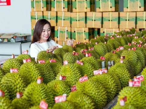 Kết nối tăng cường xuất khẩu nông sản sang Trung Quốc