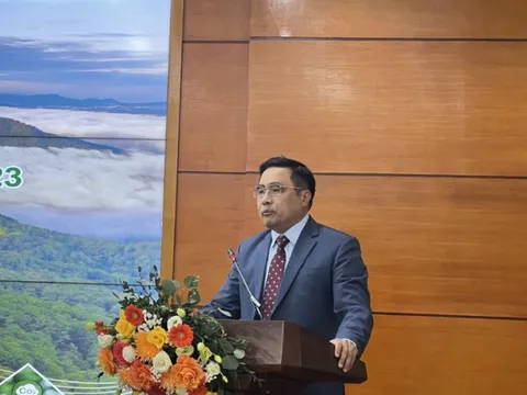 Xuất khẩu lâm sản "lỡ hẹn", Thứ trưởng Bộ NN&PTNT chỉ đạo tái cơ cấu