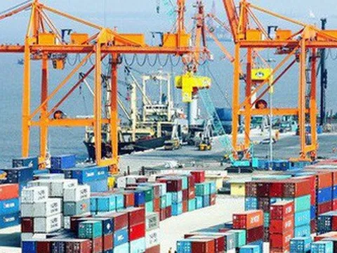 Từ 15/2/2024, điều chỉnh giá dịch vụ bốc dỡ container cảng biển