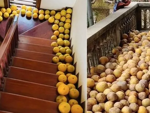 Khung cảnh báo hiệu Tết đã đến rất gần, là "đặc sản" Tết miền Bắc mà ai nhìn qua cũng hiểu ngay vấn đề