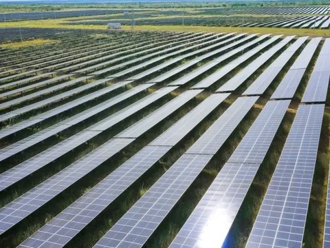 Năng lượng Lộc Ninh 3 xây nhà máy điện mặt trời dù chưa được cấp phép