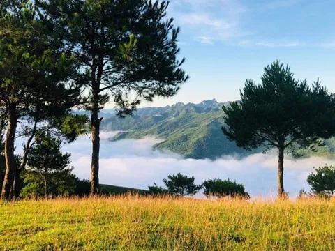 Có một "Đà Lạt thu nhỏ" ở vùng Tây Bắc, phù hợp cho kỳ nghỉ Tết Dương lịch: Cách Hà Nội chưa tới 200km