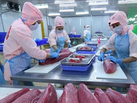 Vượt cơn gió ngược, kinh tế Việt Nam tạo đà cho tăng trưởng 2024