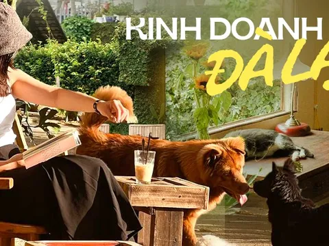 Kinh doanh ở Đà Lạt 2023: Homestay không có khách trong cả tháng, có tiệm cắt giảm toàn bộ nhân viên để “sống sót”