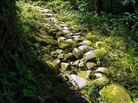 Phát hiện đường đá trăm tuổi xuyên rừng ở miền Bắc: Mang dấu ấn lịch sử, du khách nhận xét như cổ tích