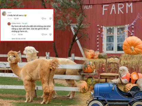 Chika Farm tiết lộ "số phận" vườn thú sau khi đóng cửa, nhiều dân mạng vẫn hi vọng sẽ mở trở lại