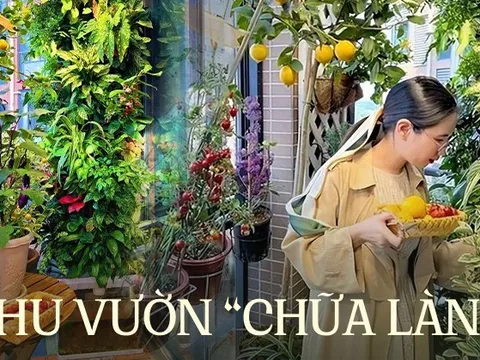 Cô gái tự tạo vườn hoa trên ban công, thu hút 100.000 lượt theo dõi và chữa lành trái tim của hàng nghìn người