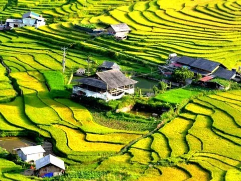 Một ngành kinh tế tại Việt Nam có mức tăng trưởng cao nhất trong nhiều năm, thặng dư thương mại kỷ lục