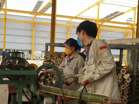 Hơn 4.000 lao động bị nợ lương, thưởng Tết cao nhất hơn 371 triệu đồng ở Thanh Hóa